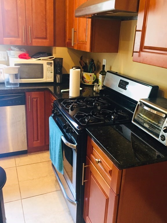 23 Magee St unit 2, Cambridge, MA 02139 - photo 3