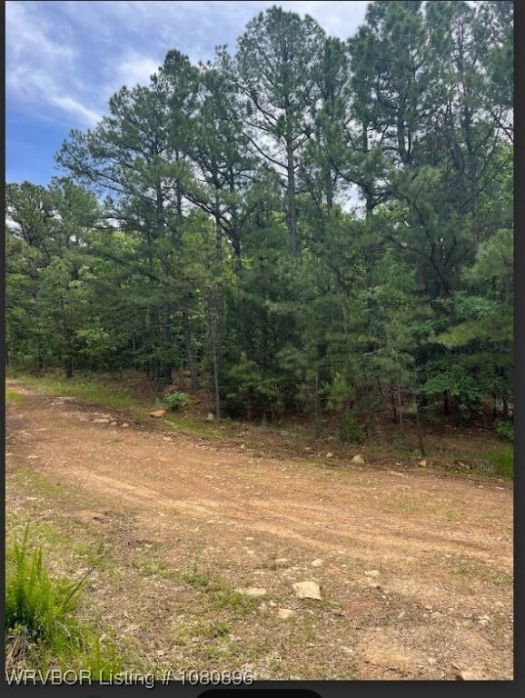 TBD Rural Latimer County, Red Oak, OK 74563 - photo 2