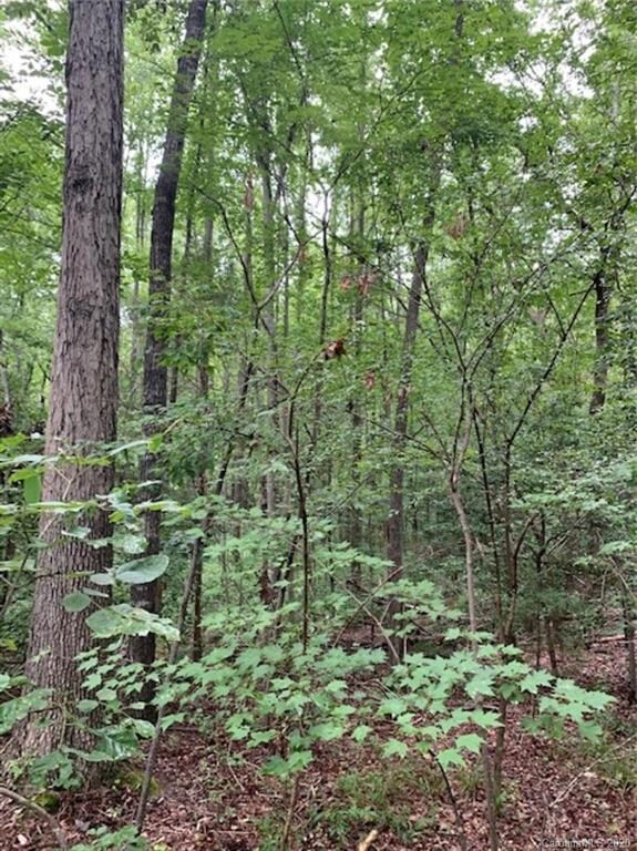 TBD Arabian Dr unit 82-83, Cedar Grove, NC 27205 - photo 7