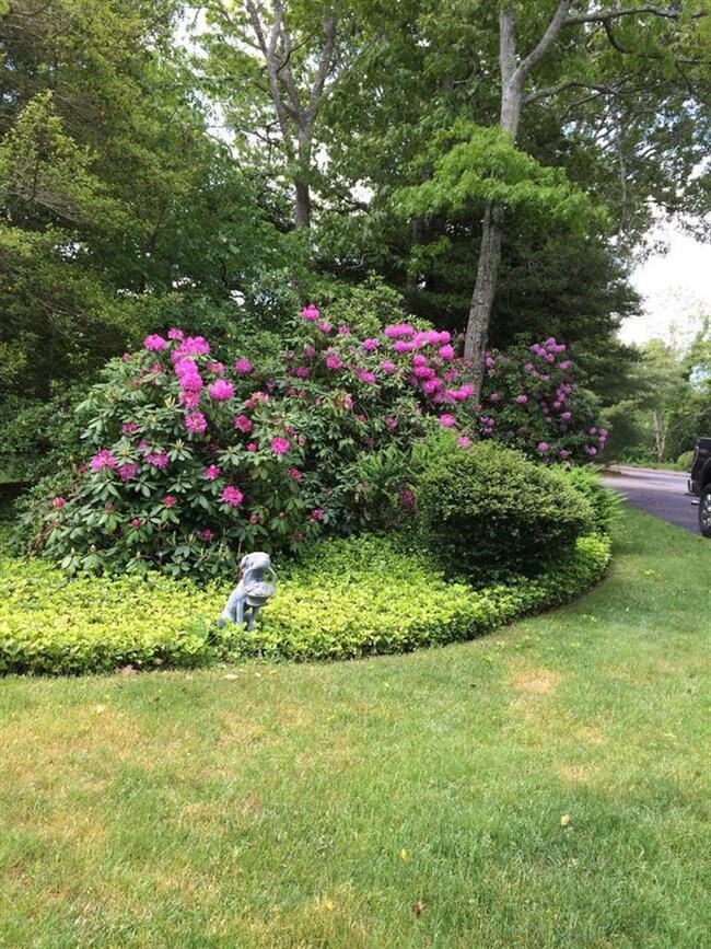 68 Joyce Anne Rd, Centerville, MA 02632 - photo 2