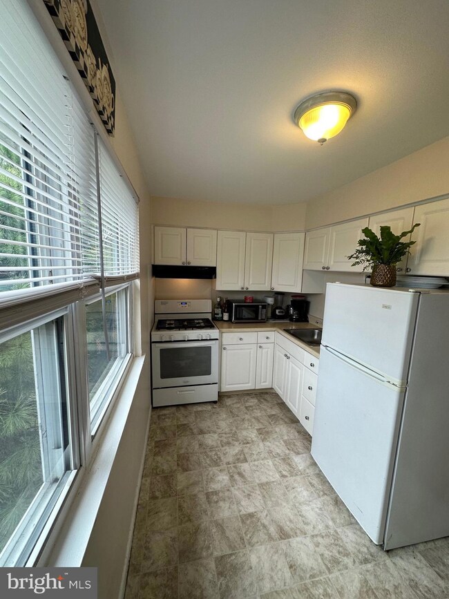 202 Green Ave unit 2, Lansdowne, PA 19050 - photo 5