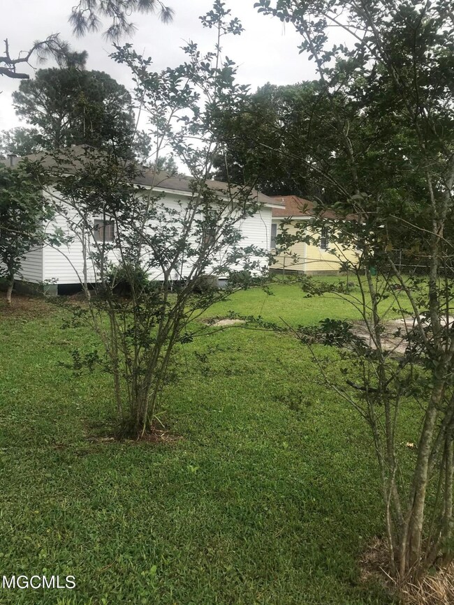 GREATRER-BACK YARD