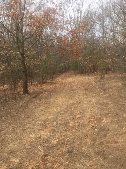 10209 E 775 S, Monterey, IN 46960 - photo 5