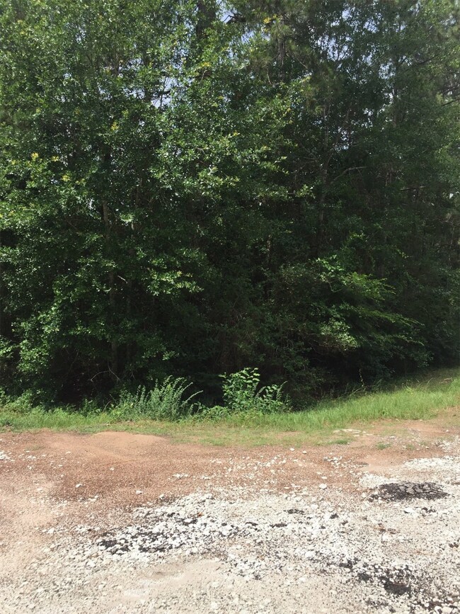 0 King Richards Ct unit 42822552, Hockley, TX 77447 - photo 5