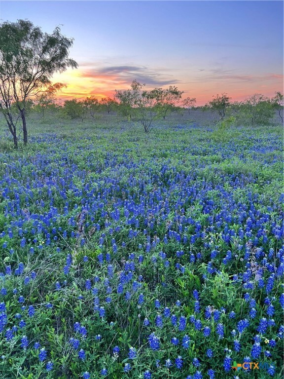 4260 Harmon Rd, Copperas Cove, TX 76522 - photo 4