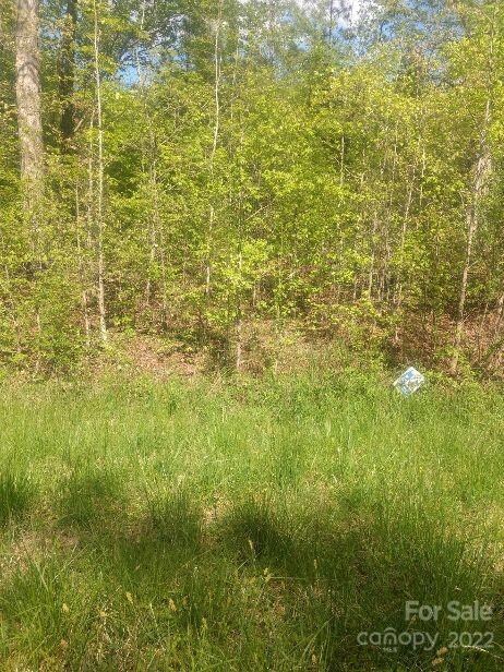 122 Hannaford Place, Gastonia, NC 28052 - photo 4