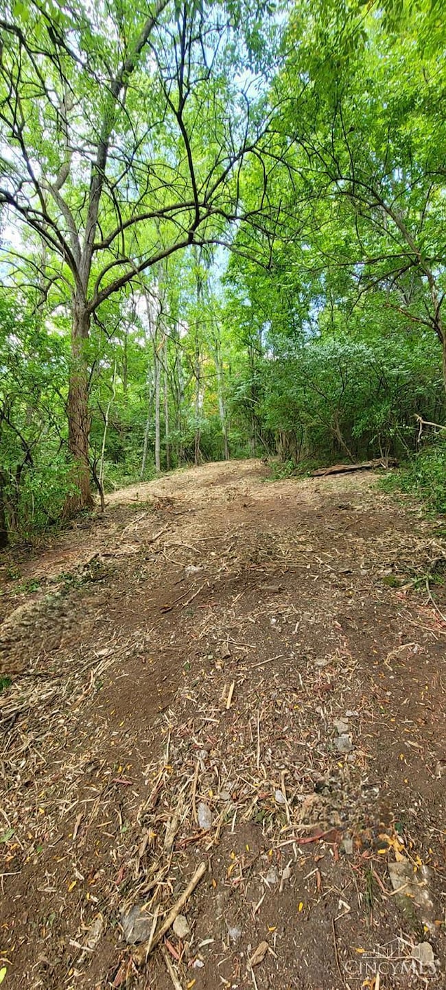 ac Laurel-Point Isabel Rd, Moscow, OH 45153 - photo 5