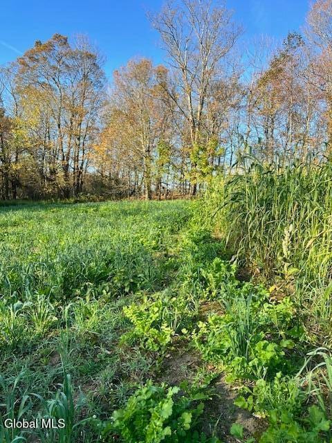 168 George Peasley Rd, Pharsalia, NY 13844 - photo 3