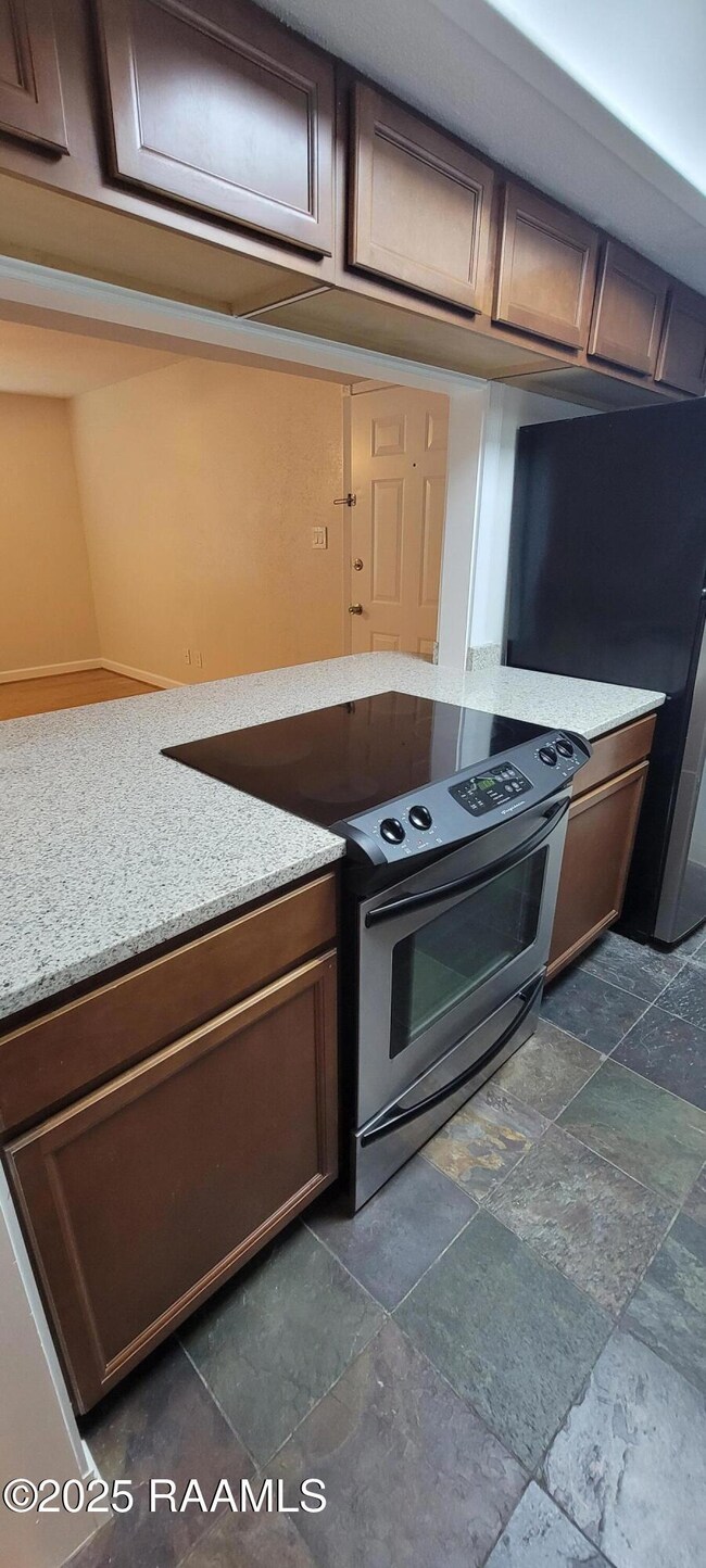 3121 Johnston St unit 207, Lafayette, LA 70503 - photo 5