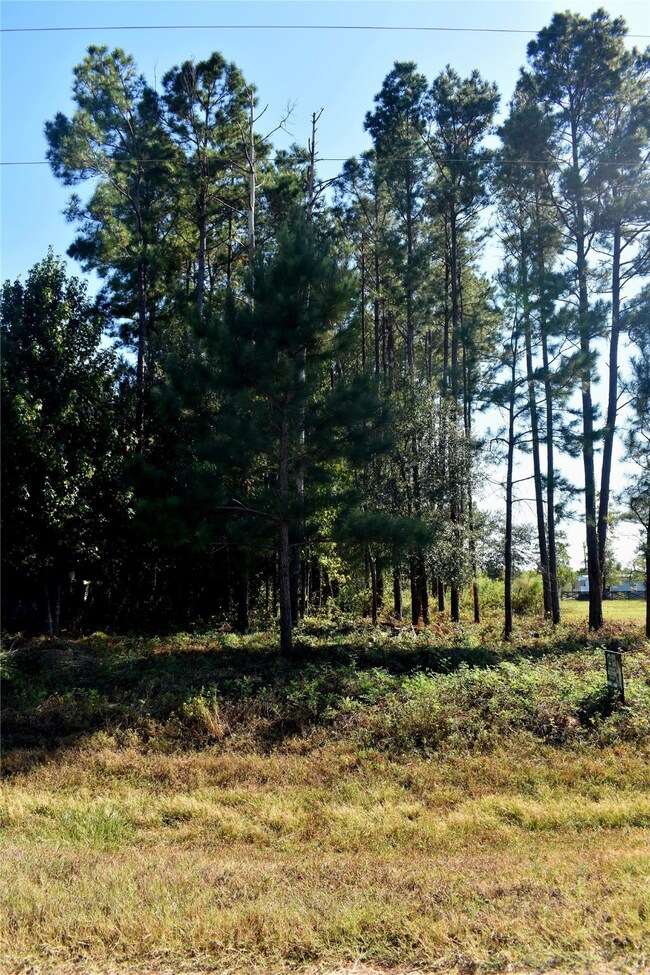 900 County Road 3545, Cleveland, TX 77327 - photo 2