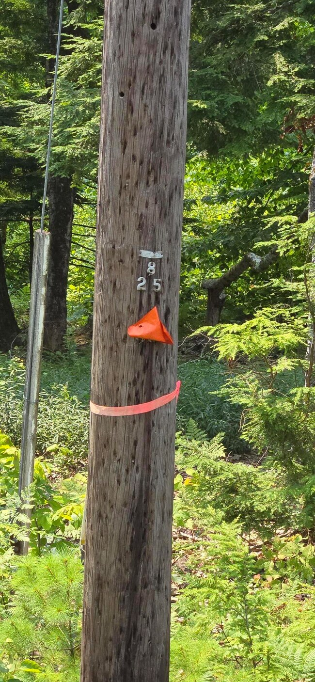 486 N High St, Bridgton, ME 04009 - photo 4