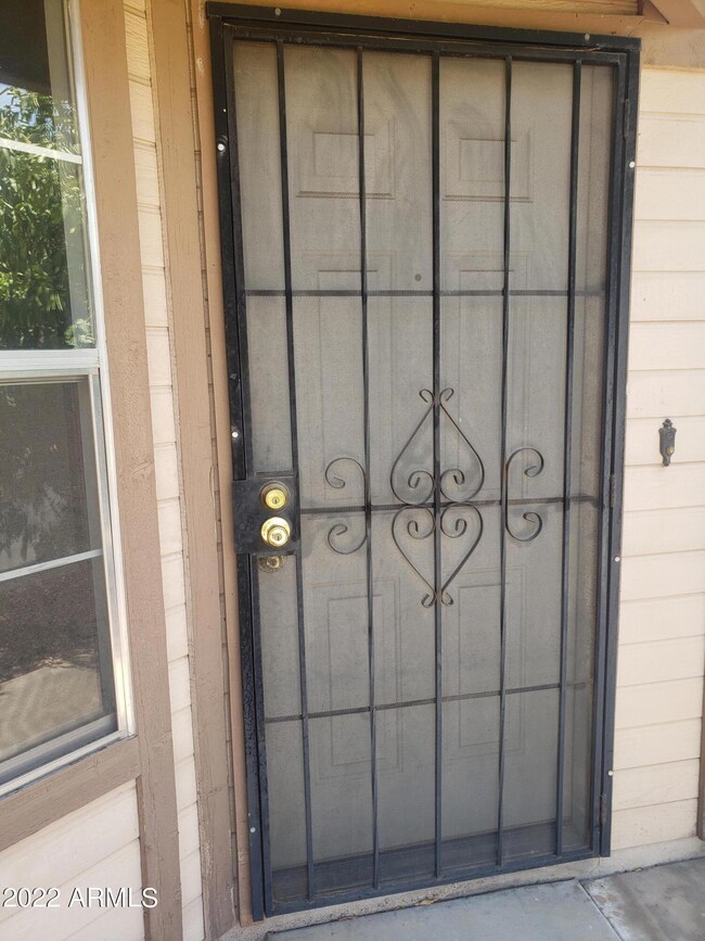 Security Door