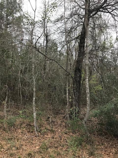 IMG_4431 8.5 acre
