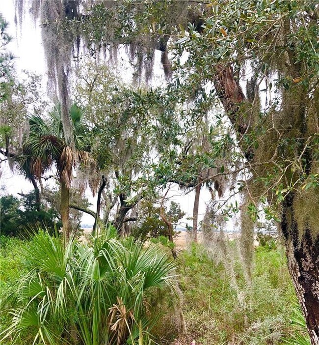 178 Sunrise Dr, Saint Simons Island, GA 31522 - photo 2