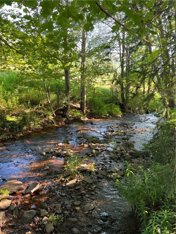 12816 County Highway 18, Hobart, NY 13788 - photo 4