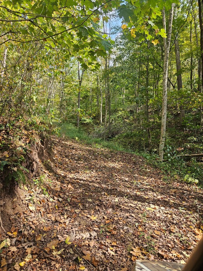 28661 Williams Farm Rd, Lower Salem, OH 45745 - photo 5