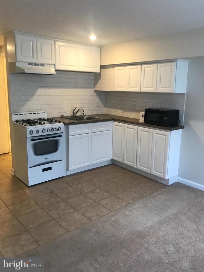 228 N Orange St unit BASEMENT, Media, PA 19063 - photo 5