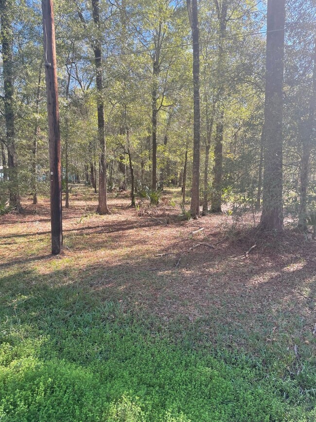 TBD County Road 441, Dayton, TX 77535 - photo 6