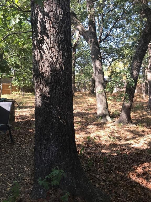 809 Vickie Dr, Azle, TX 76020 - photo 3