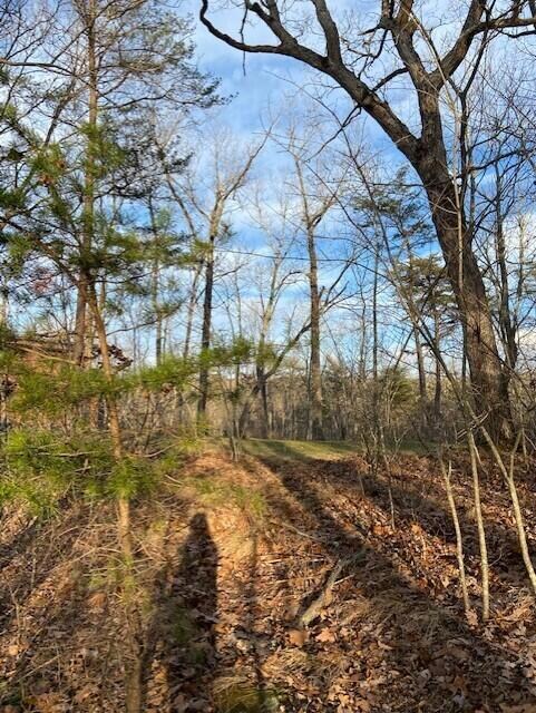0 Eagle Bluff Rd unit 1374264, Cloudland, GA 30731 - photo 4