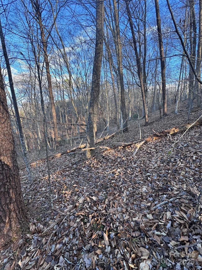 0 Creekside Cir unit 126 CAR4215345, Rutherfordton, NC 28139 - photo 5