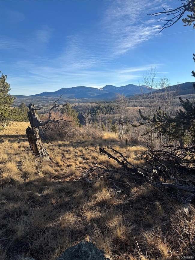 84 Pine Ridge Rd, Fairplay, CO 80440 - photo 6