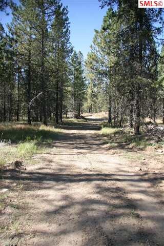 1031 Homestead Rd, Athol, ID 83801 - photo 7