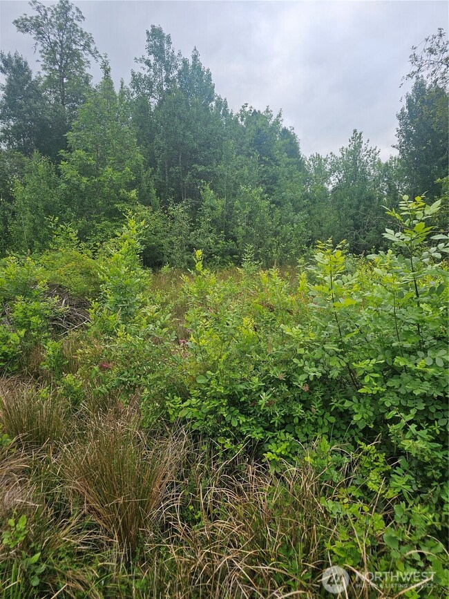 565 Oyler Rd, Ethel, WA 98542 - photo 7