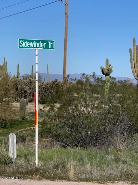 Pic of Sidewinder Street sign