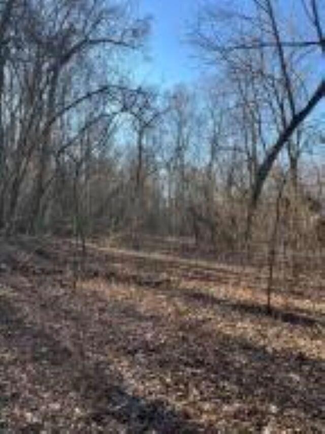 20250424105641664137000000-1