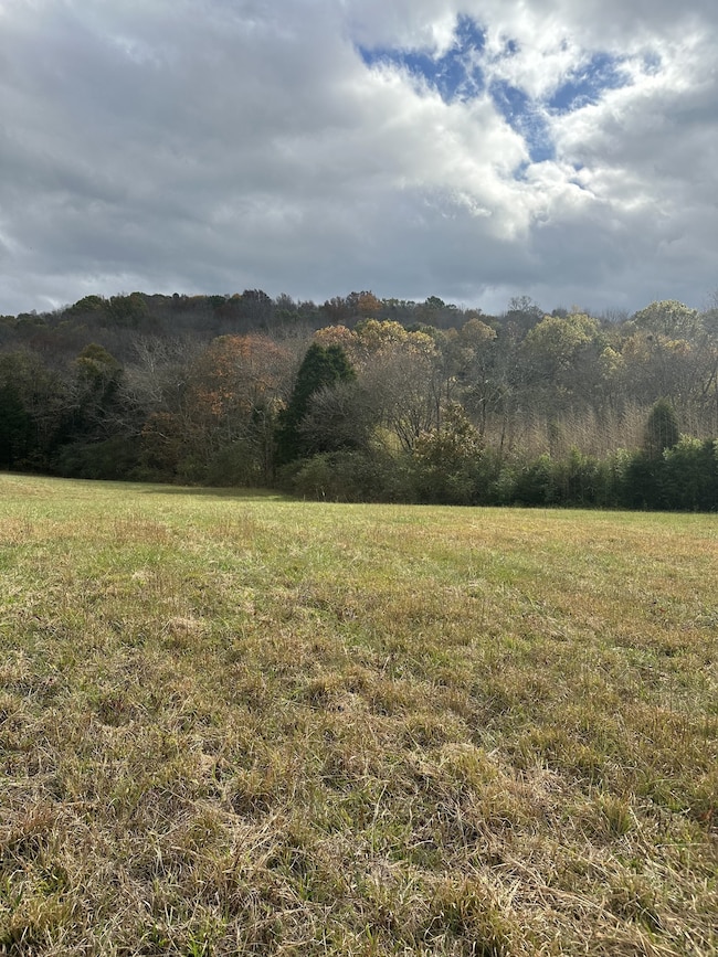 772 Rock Bridge Rd, Bethpage, TN 37022 - photo 2