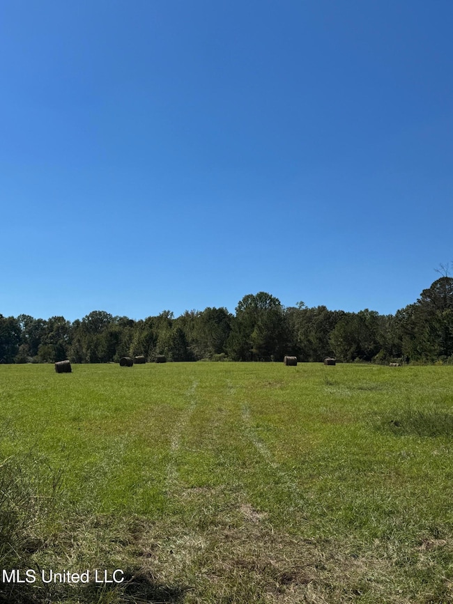 0 Parsons Rd unit 4131662, Terry, MS 39170 - photo 4