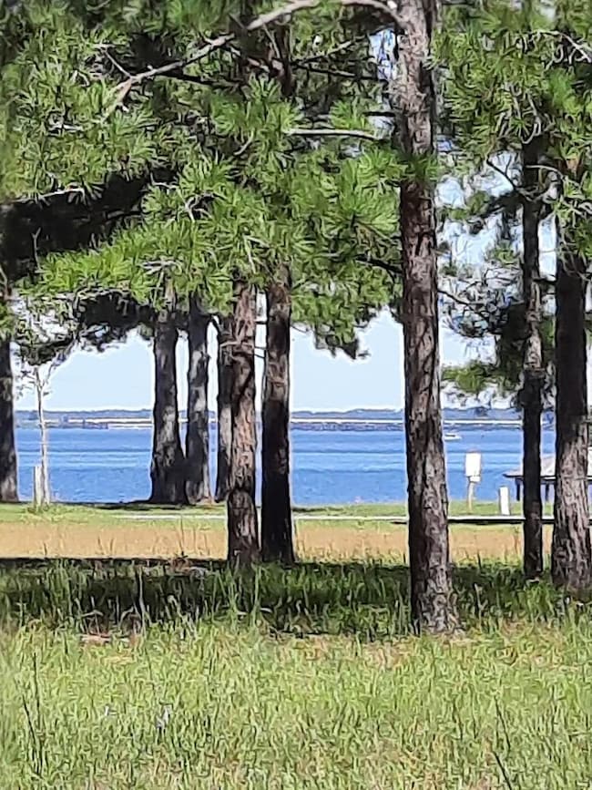 lot 21 Cedar Point Cir, Cordele, GA 31015 - photo 4