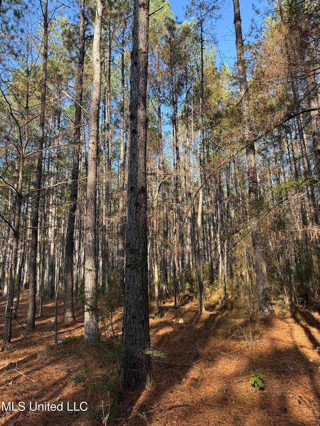 0 Corbit Blvd unit 4133748, McLain, MS 39456 - photo 4