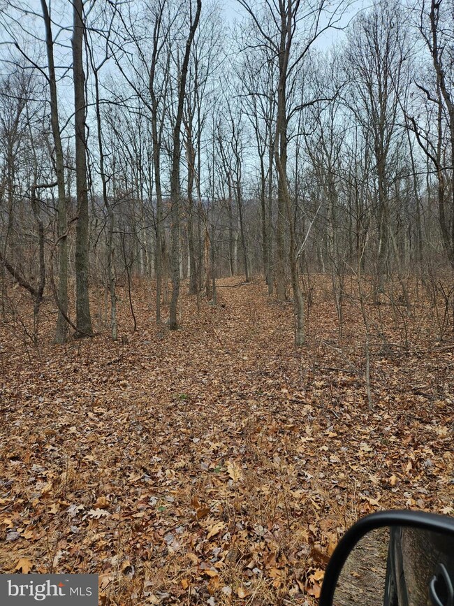 953 Apple Way, Saint Thomas, PA 17252 - photo 6