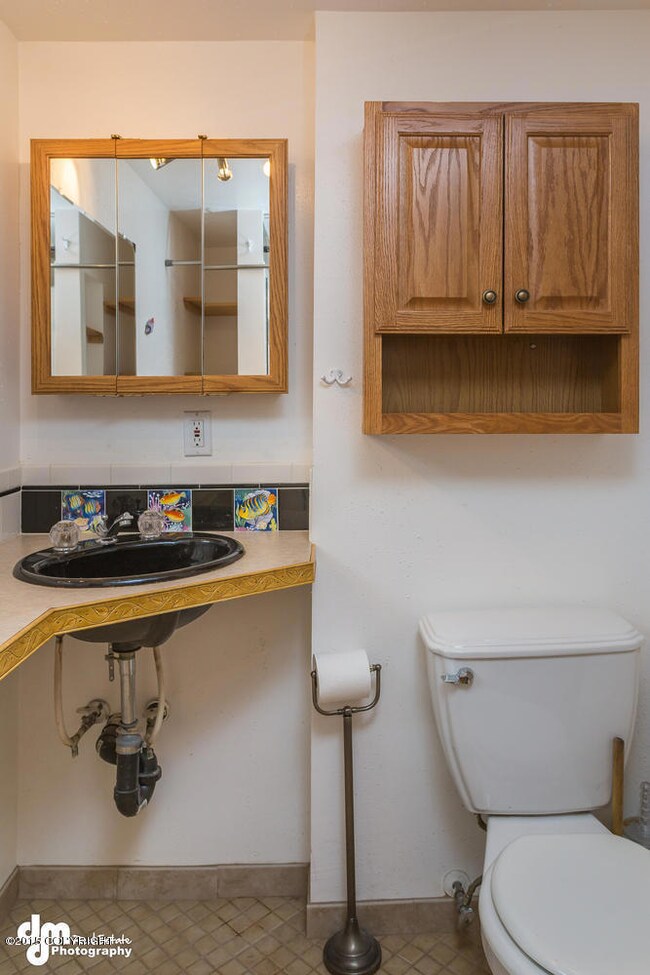 4103 North Star Street-large-005-Basemen