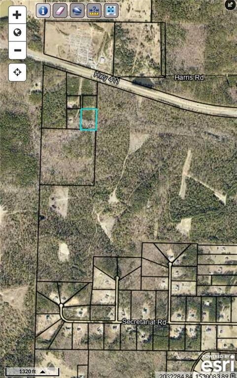 0 Highway 411 SE unit 7692418, Rome, GA 30161 - photo 6