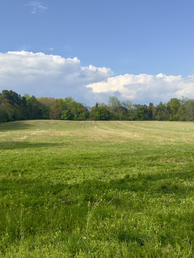 0 Aedc Lakeview Rd, Estill Springs, TN 37330 - photo 2