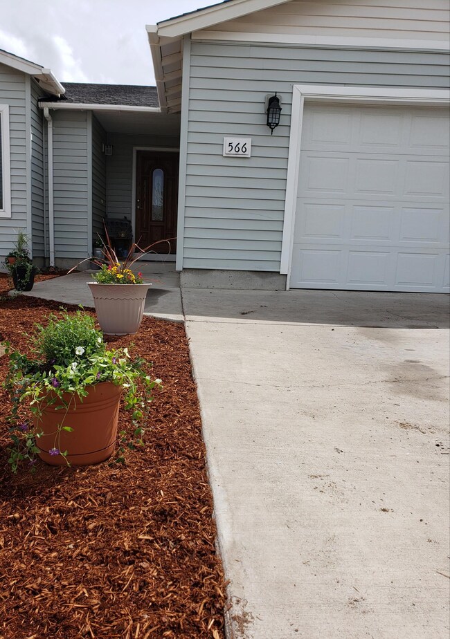 front walk with 566