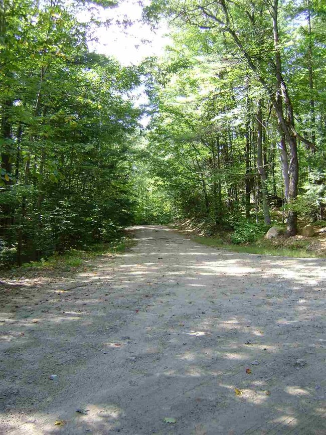 00 Berndorf unit 25.1, Moultonborough, NH 03254 - photo 6