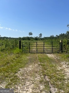 87.21 AC Bay Branch Church Rd, Claxton, GA 30417 - photo 2