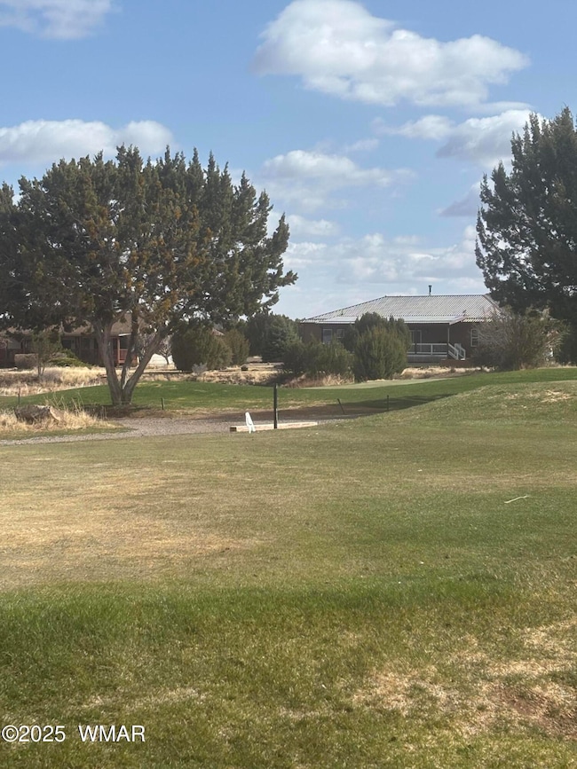 Golf Behind House