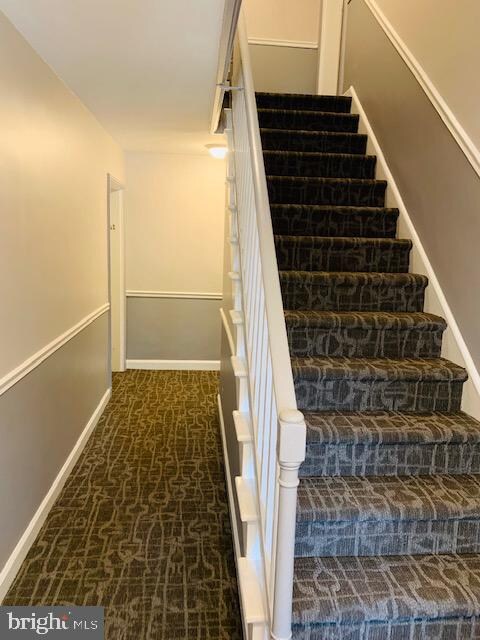 4504 36th St S unit A1, Arlington, VA 22206 - photo 3