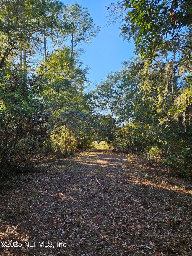 306 Lakeshore Dr, Starke, FL 32091 - photo 5