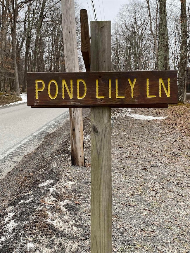 TBD Pond Lily Ln, Terra Alta, WV 26764 - photo 7