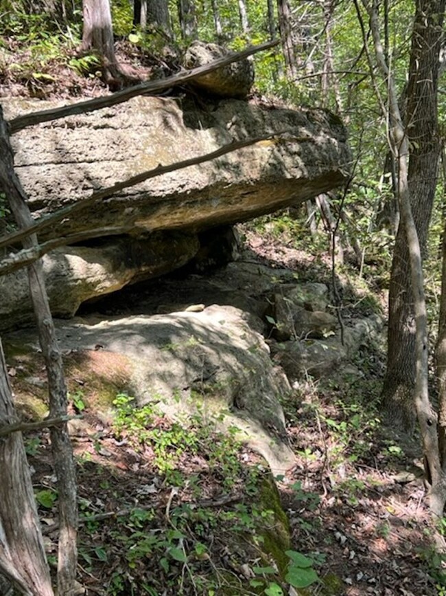 0 Wet Mill Creek Rd unit LotWP001 18424138, Celina, TN 38551 - photo 3