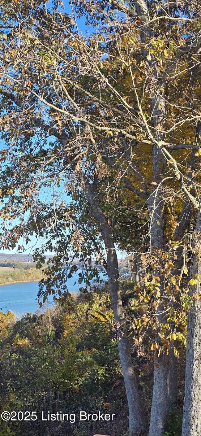 116 Lisa Dr, Brandenburg, KY 40108 - photo 5