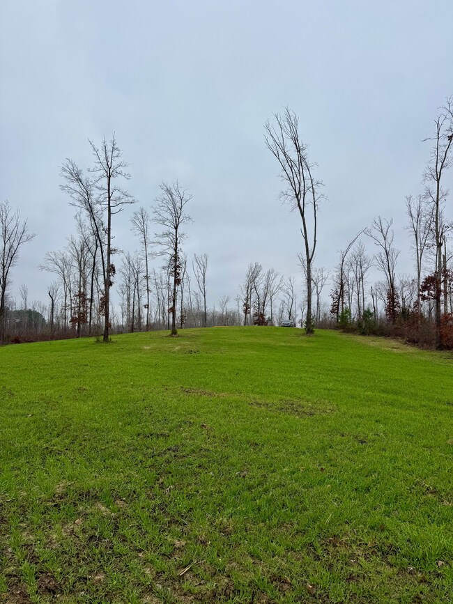 7900 Brooksie Thompson Rd, Bath Springs, TN 38311 - photo 4