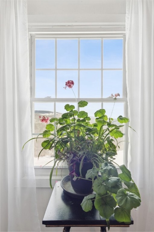 Beautiful natural light and exceptional views from