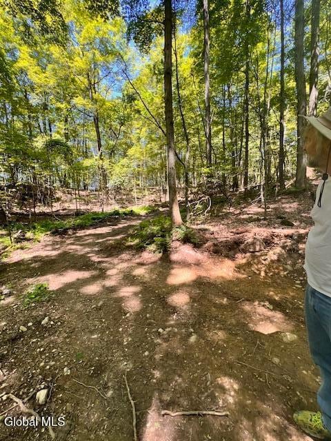 L7.41 Summit Lake Rd, Argyle, NY 12809 - photo 7